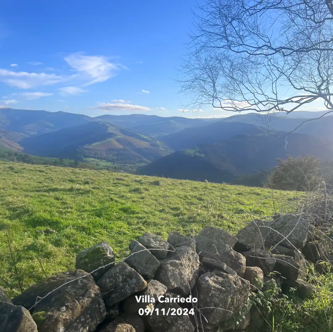 Vista exterior de Finca rústica en venta en Villacarriedo con Jardín privado