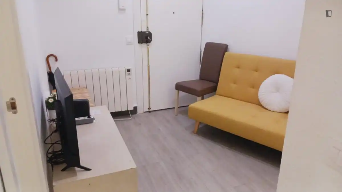 Sala d'estar de Apartament de lloguer en Madrid amb Moblat, Forn i Rentadora
