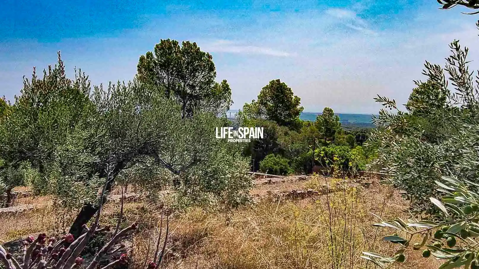 Villa avec piscine à vendre à Urbanitzacions, imagen 44