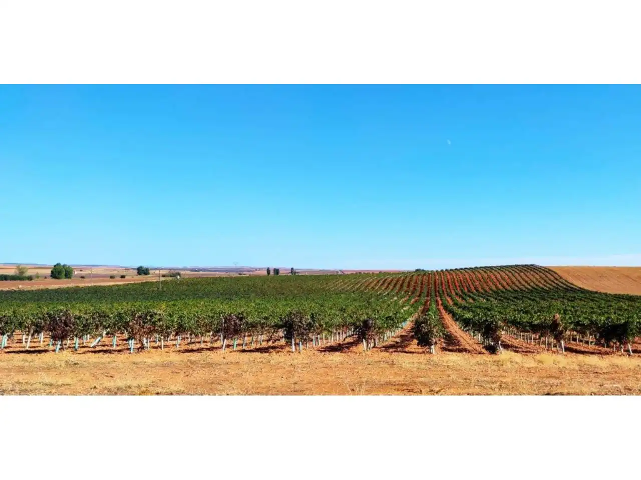 Vista exterior de Finca rústica en venta en Alhambra con Aire acondicionado, Calefacción y Jardín privado