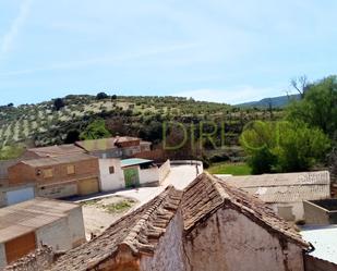 Vista exterior de Finca rústica en venda en Jayena amb Terrassa