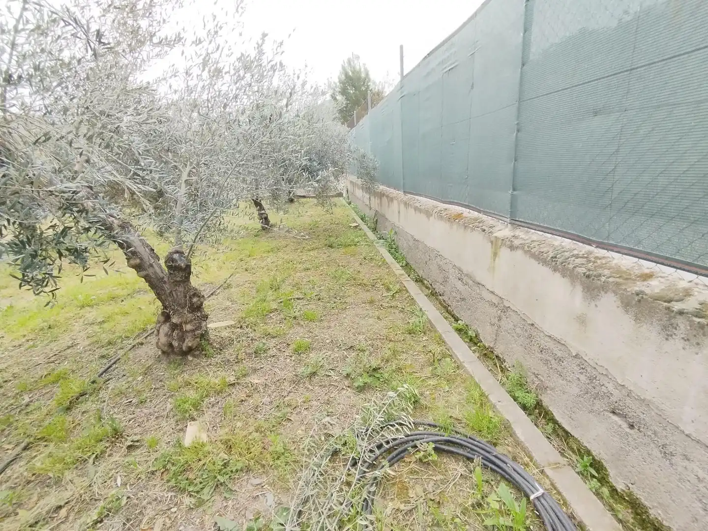 Terreni e lotti in vendita a Carretera Cenes de la Vega, imagen 10
