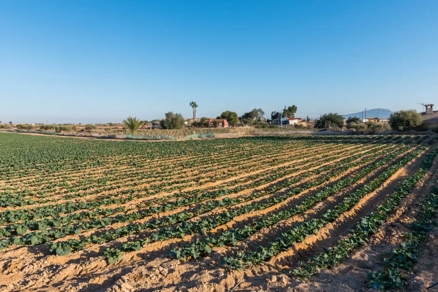 Finca rústica en venta en Alhama de Murcia