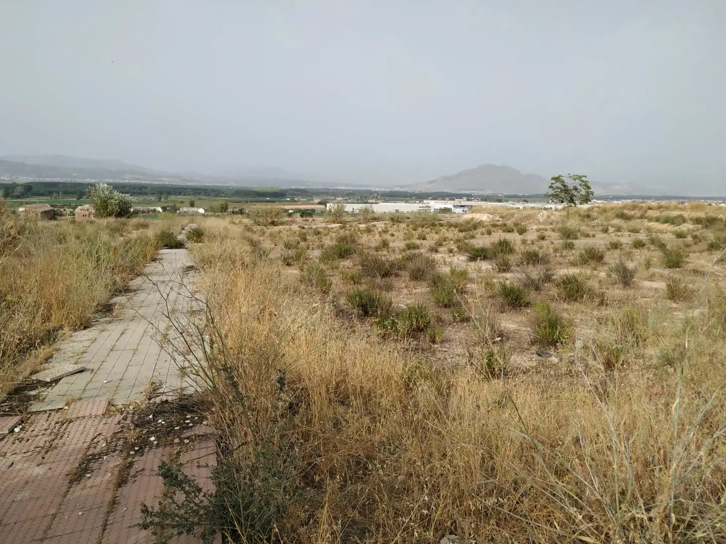 Rustikales Grundstück zum Verkauf in SECTOR PLAN PARCIAL 1-R, MANZANA E, CALLE CHARO ROS SN, imagen 4
