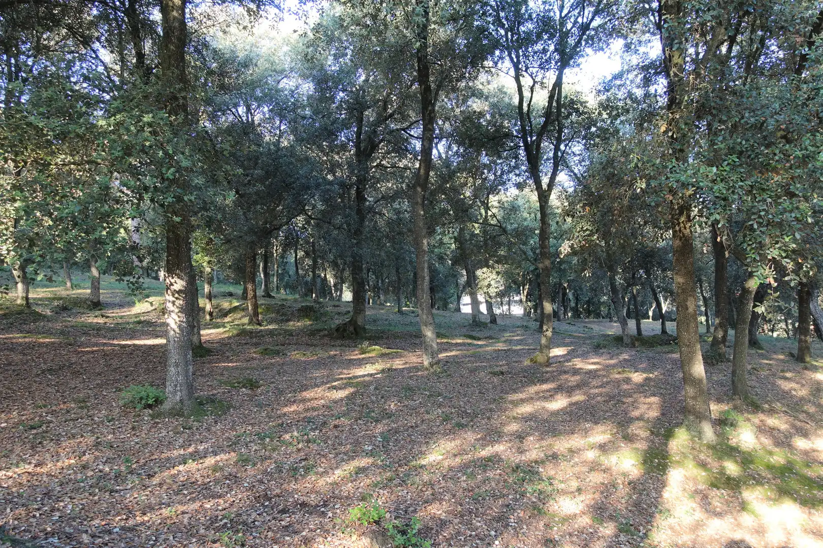 Terreno residenziale in vendita a Diseminado Afueras, imagen 7