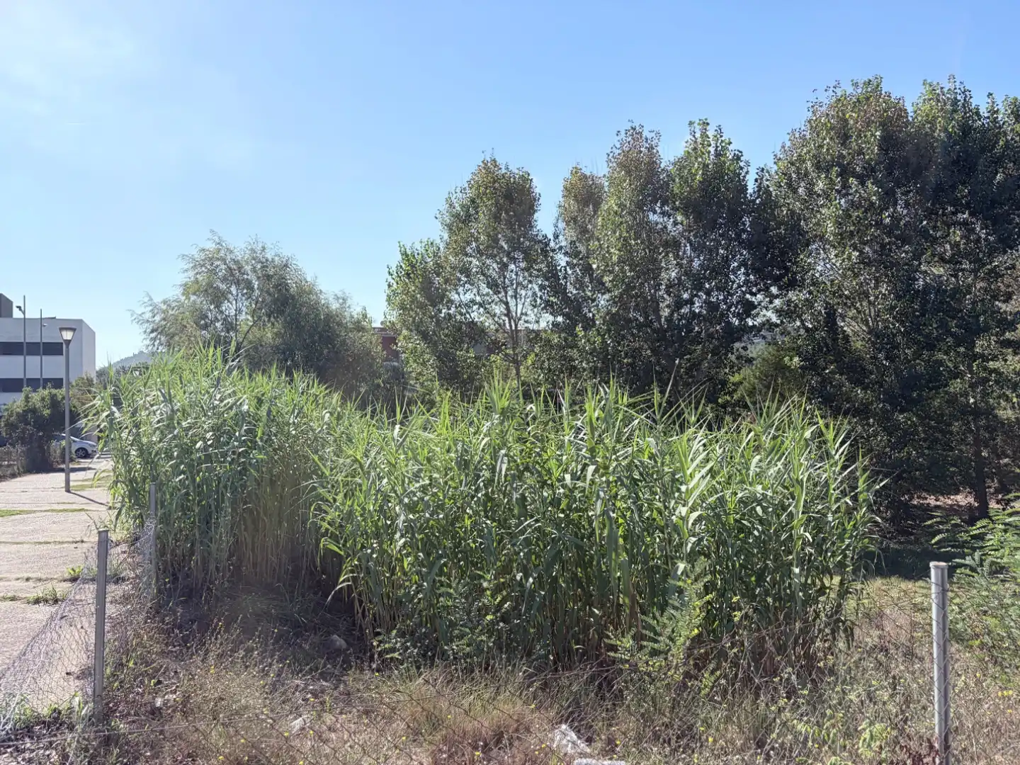 Terreno residenziale in vendita a Carrer de Guifré el Pilós 25, imagen 3