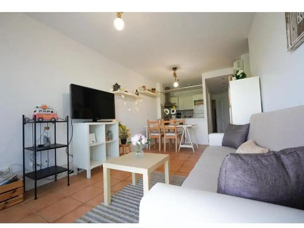 Sala d'estar de Apartament en venda en Amposta amb Aire condicionat, Terrassa i Balcó