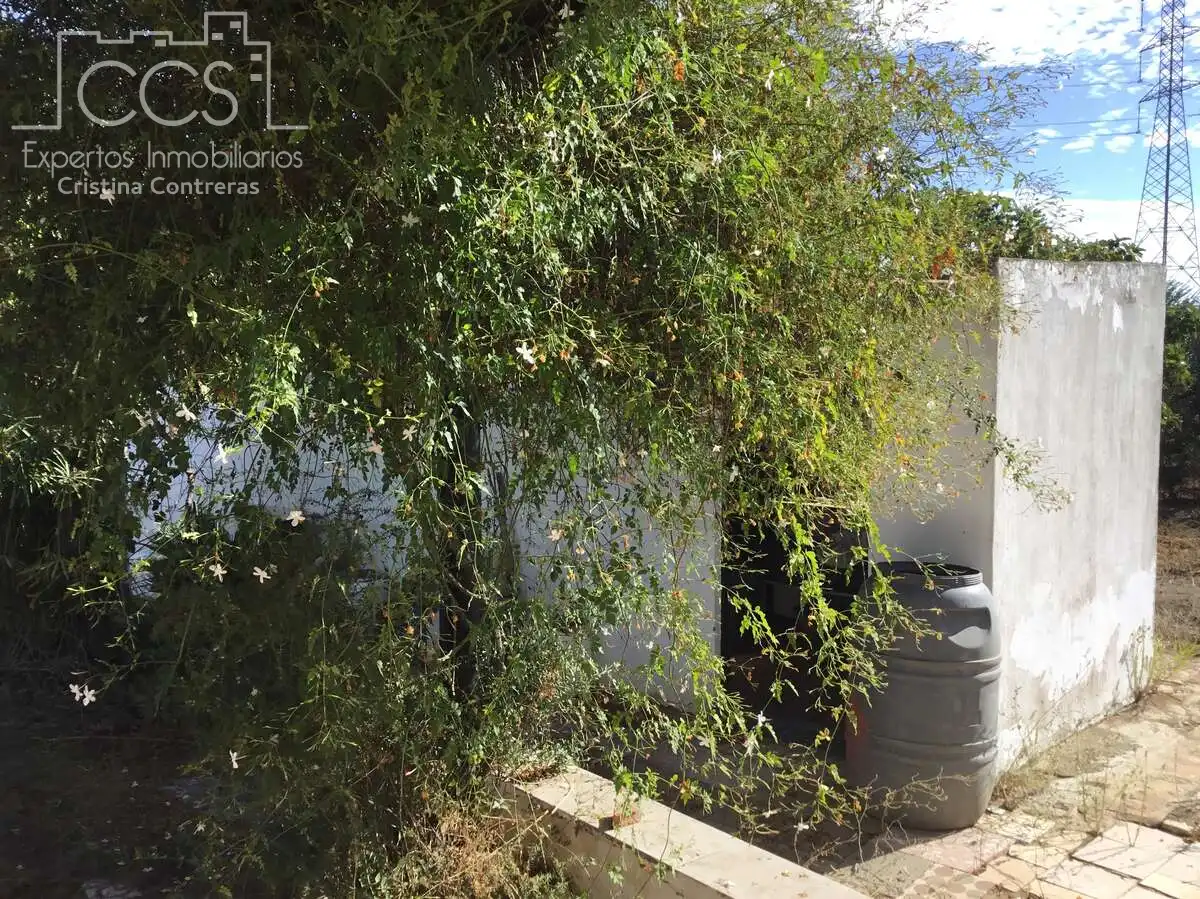 Casa rústica en venda a Almonte ciudad, imagen 43