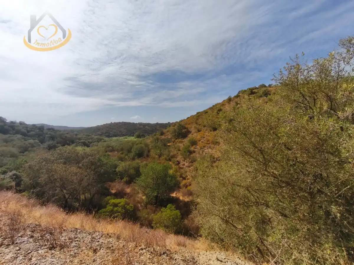 Terreno en venta en Sanlúcar de Guadiana