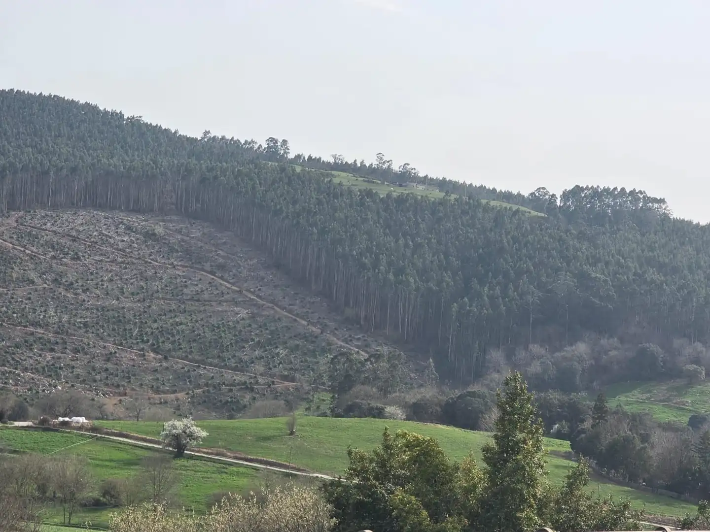 Residential zum Verkauf in Ribamontán al Monte