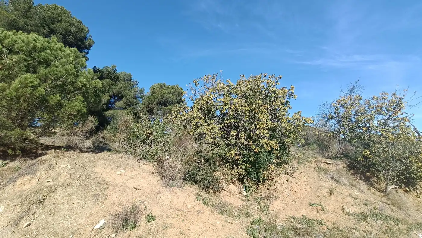 Residencial en venta en Montcada i Reixac