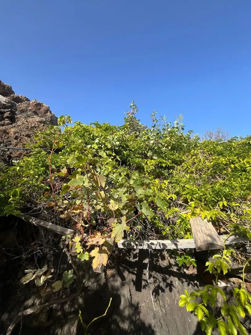Residencial en venta en El Pinar de El Hierro