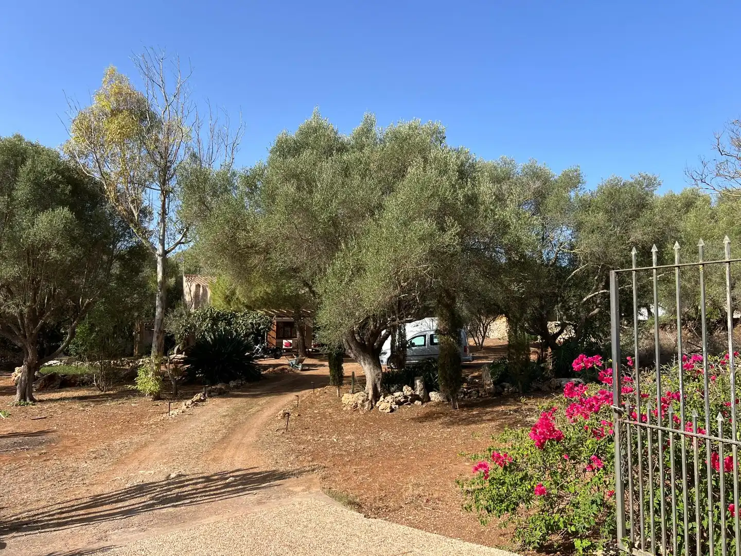 Casa rustica con giardino in affitto a Felanitx Poble, imagen 20