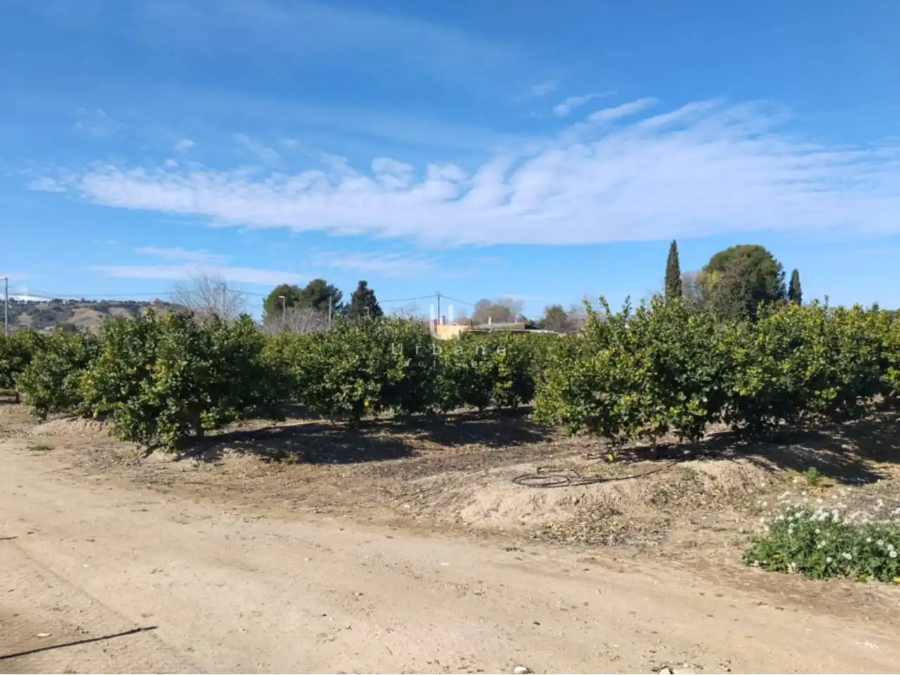 Terreny rústic en venda a Camino Huerta de Abajo, imagen 3