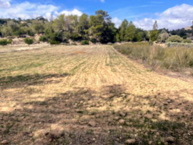 Terreno en Venta en poligono 1 parcela 48  en Lloret de Vistalegre