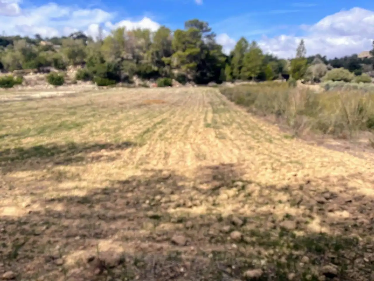 Rural land for sale in Calle poligono 1 parcela 48