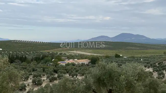 Finca rústica en venta en Úbeda con Jardín privado, Terraza y Piscina
