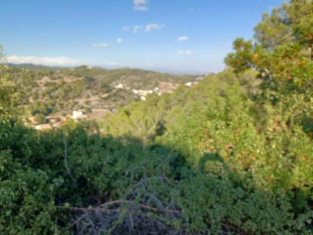 Terreno residencial en Venta en Castellet i la Gornal