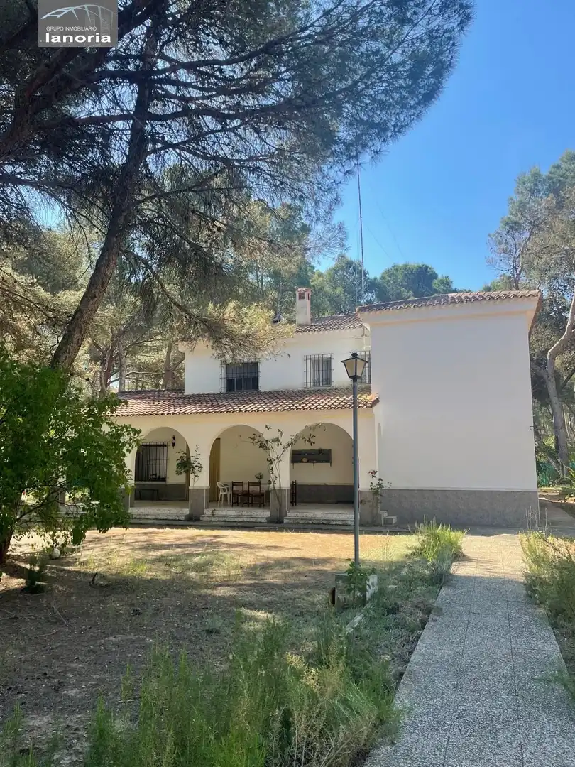 Chalet con piscina en venta en Urbanizacion Urbanización Pinares del Júcar, imagen 16