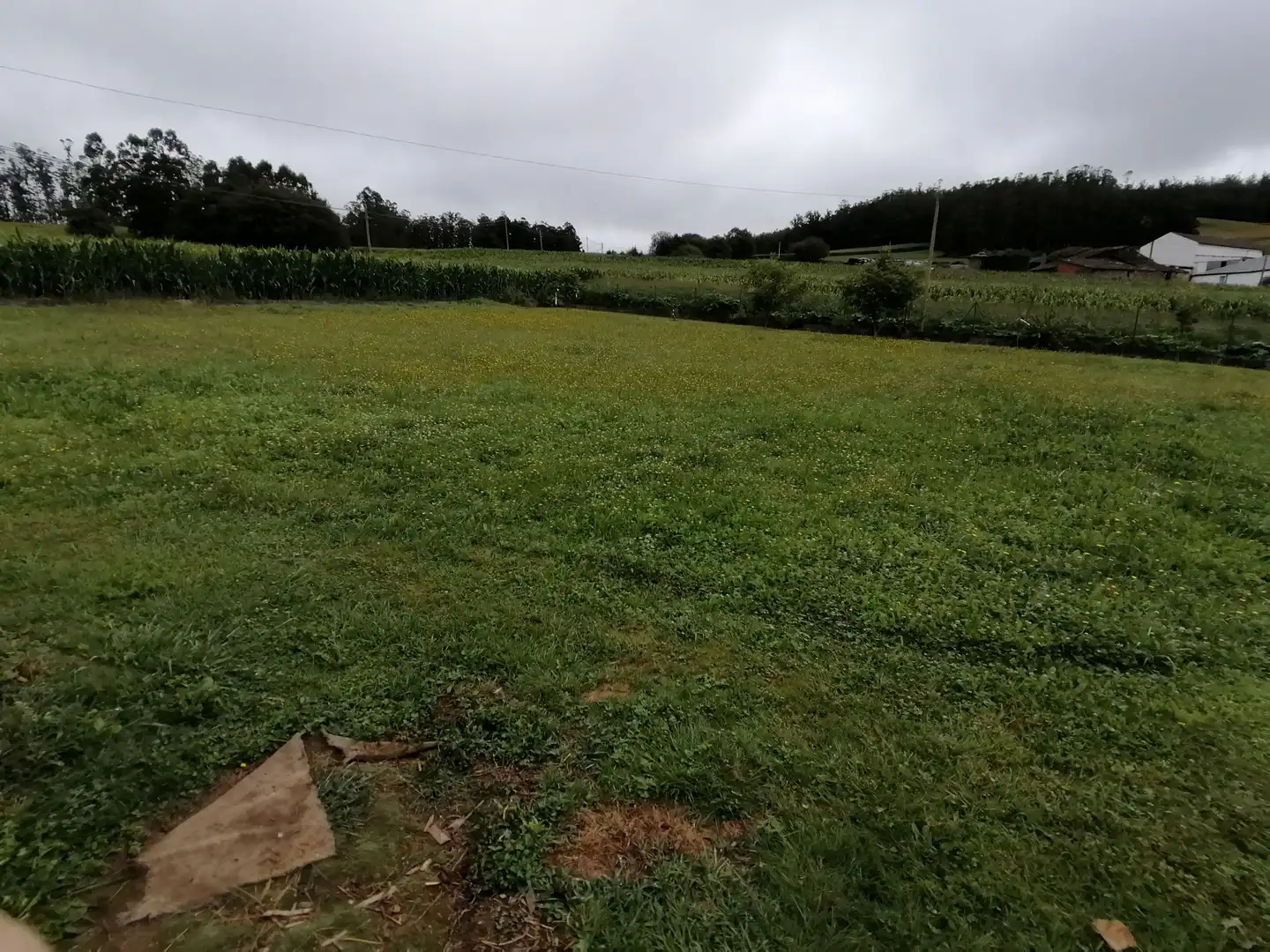 Casa amb jardí en venda a Barreiros, imagen 63
