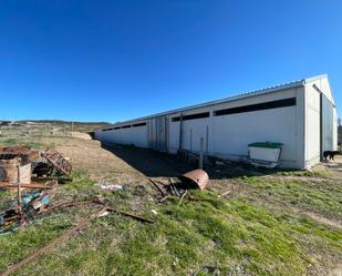 Exterior view of Industrial buildings for sale in Priego