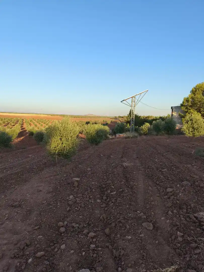 Finca rústica en venda en Villanueva de los Infantes (Ciudad Real) amb Moblat i TV