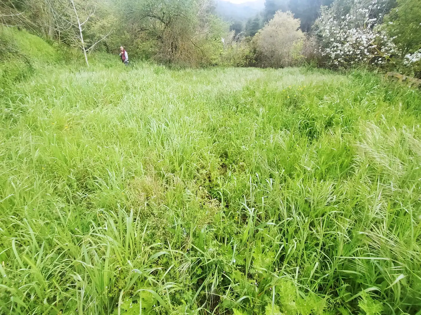 Wohnbaugrundstück zum Verkauf in Carretera Corbera a Gelida 83, imagen 9