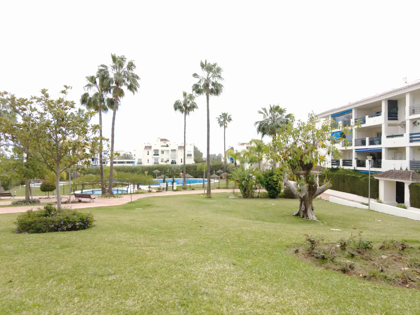 Piso en venta en Calle los Jazmines, 11, Nueva Andalucía centro