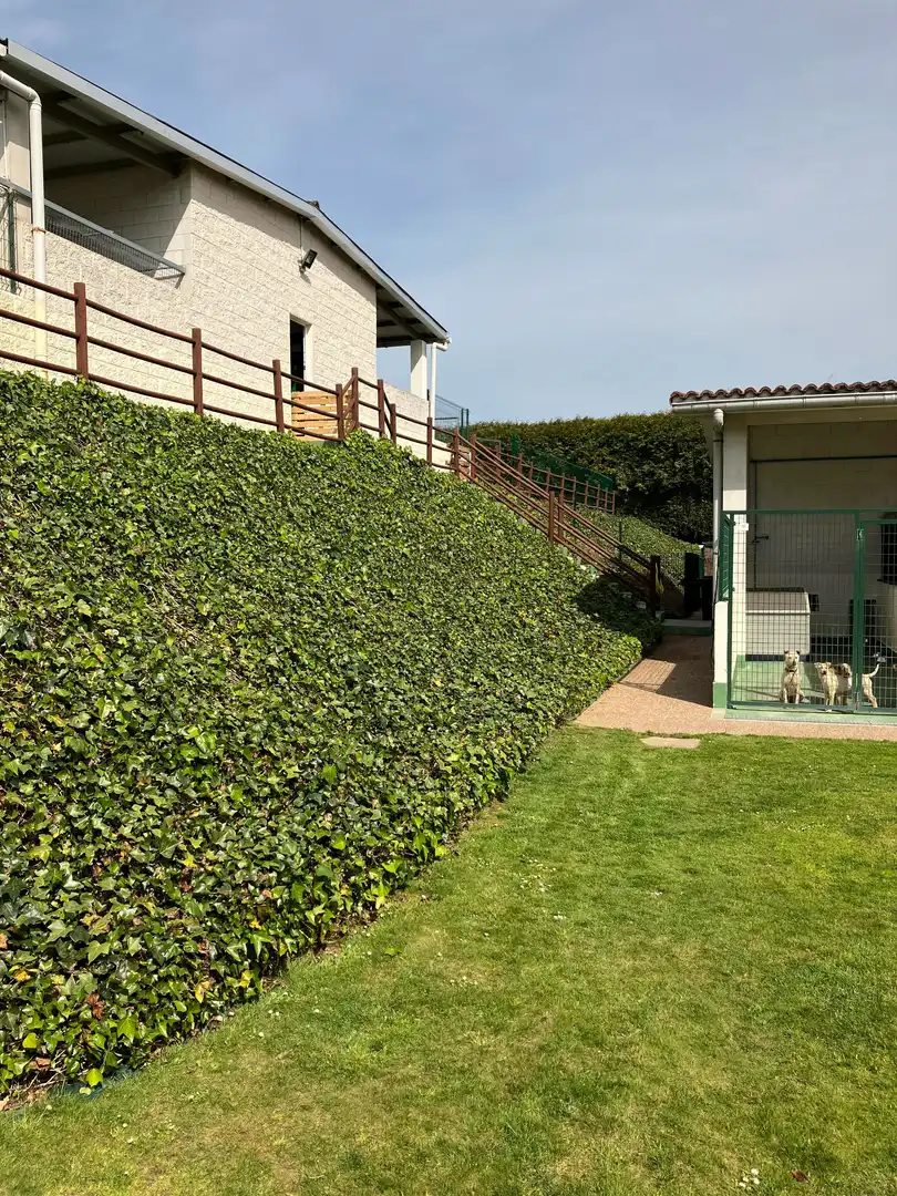 Garden of Houses for sale in Abegondo