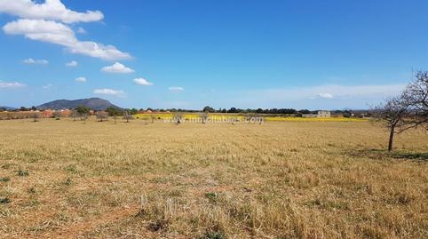 Foto 2 de Finca rústica en venda a Sencelles, Illes Balears