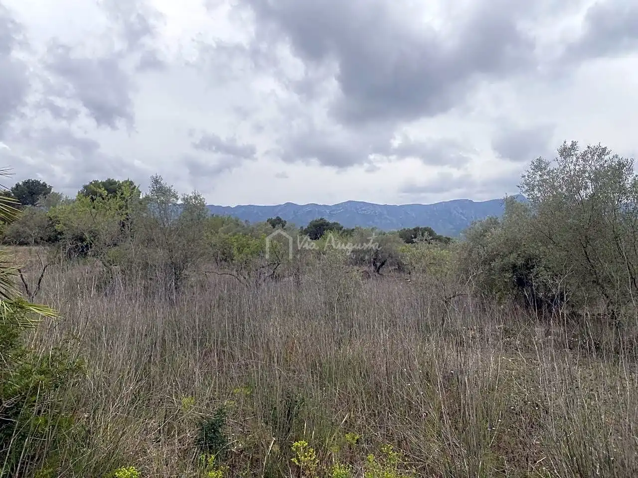 Terreno rustico in vendita a Burga, imagen 21