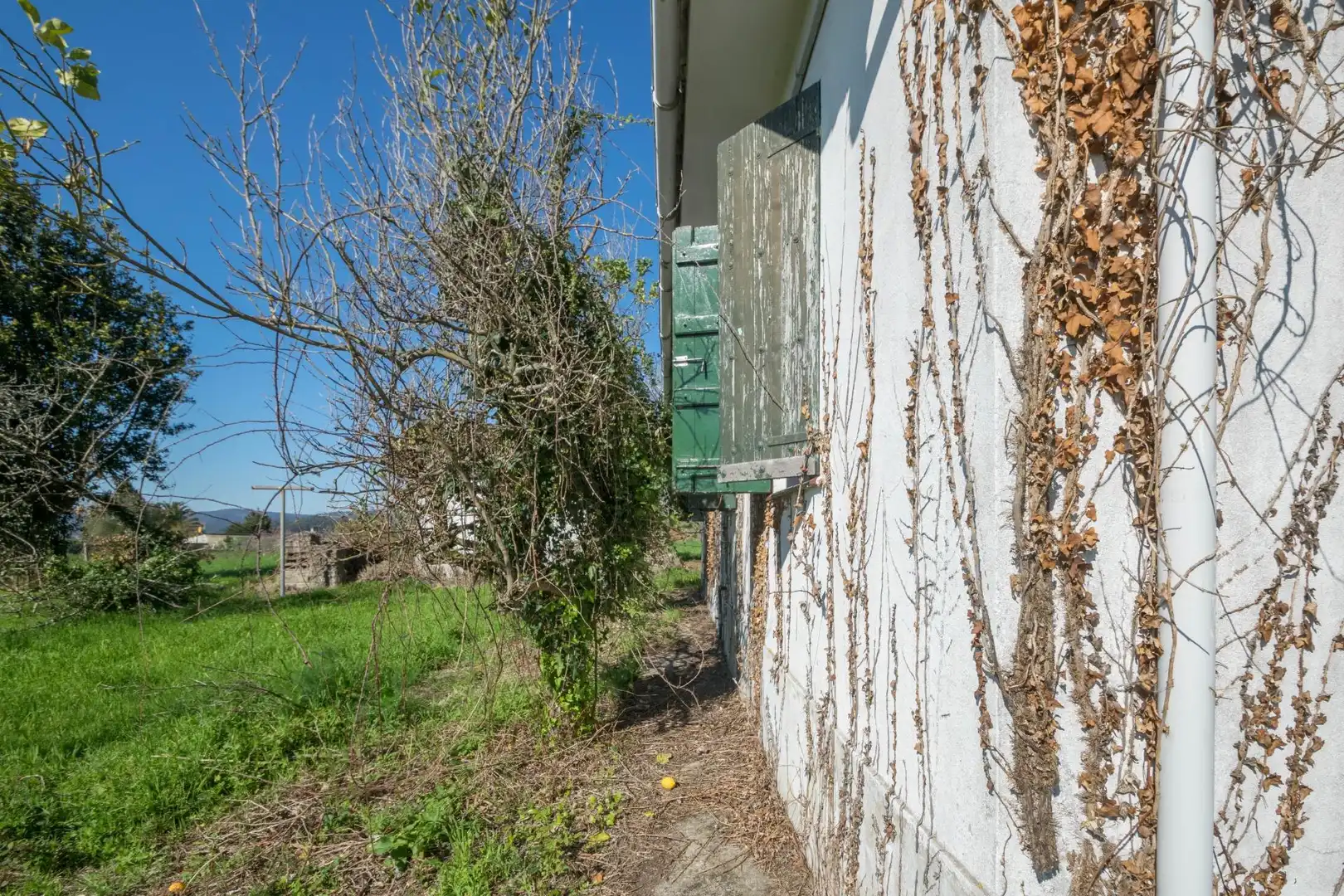 Vista exterior de Casa o xalet en venda en Cambre  amb Jardí privat