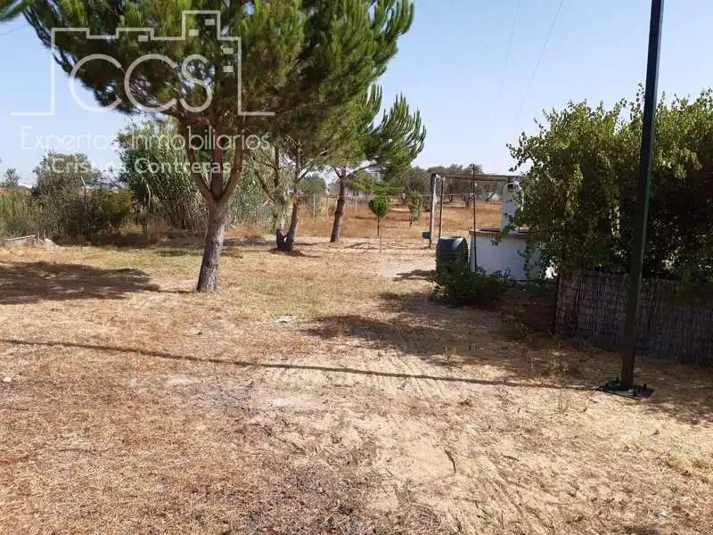 Casa rústica amb jardí en venda a Almonte ciudad, imagen 17