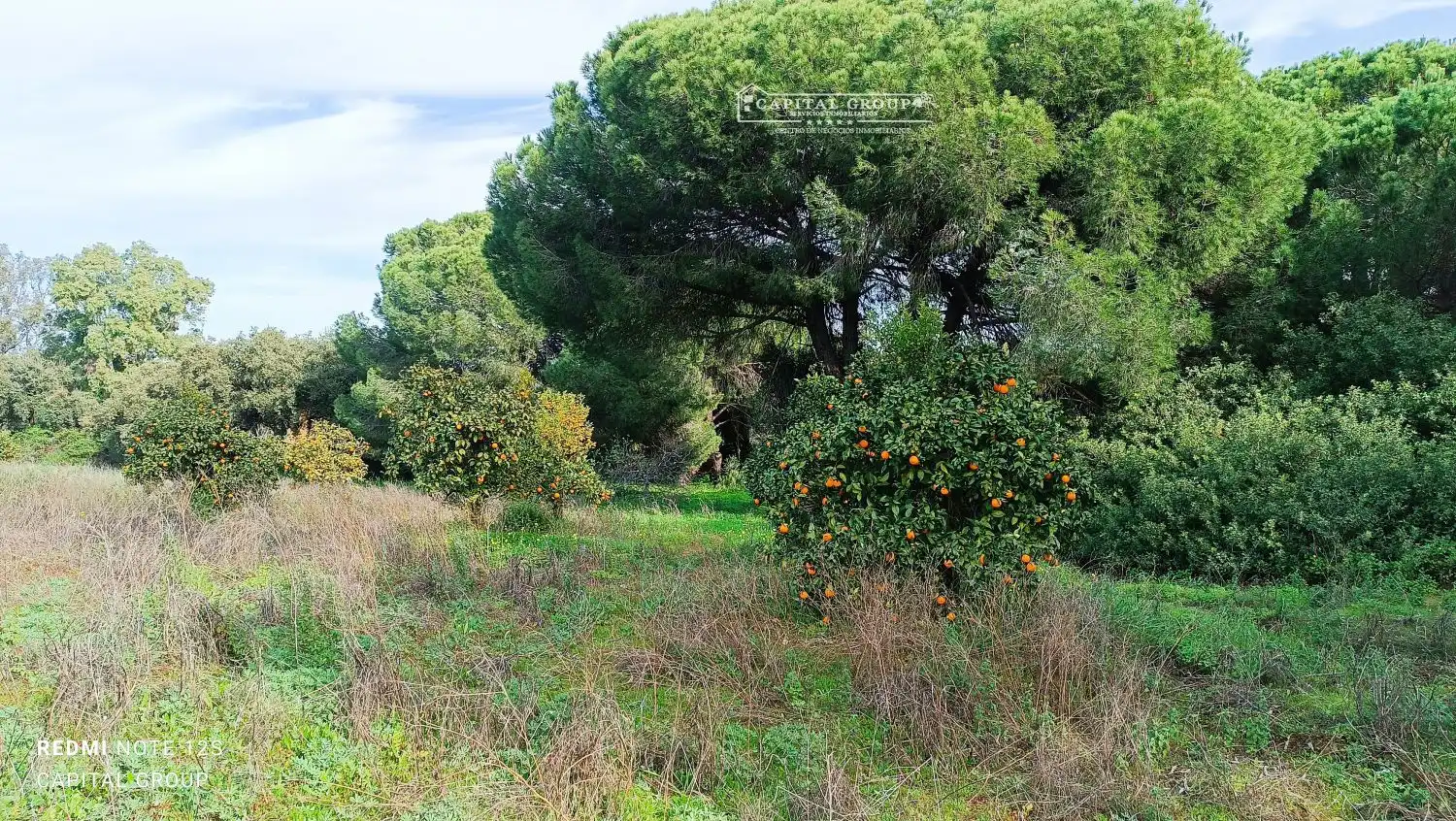 Terrenos y solares en venta en Gibraleón, imagen 38