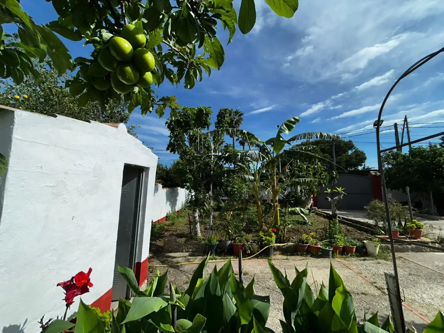 Houses for sale in Los Franceses – La Vega
