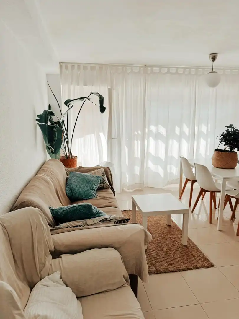 Sala de estar de Piso de alquiler en Alicante / Alacant con Terraza y Amueblado