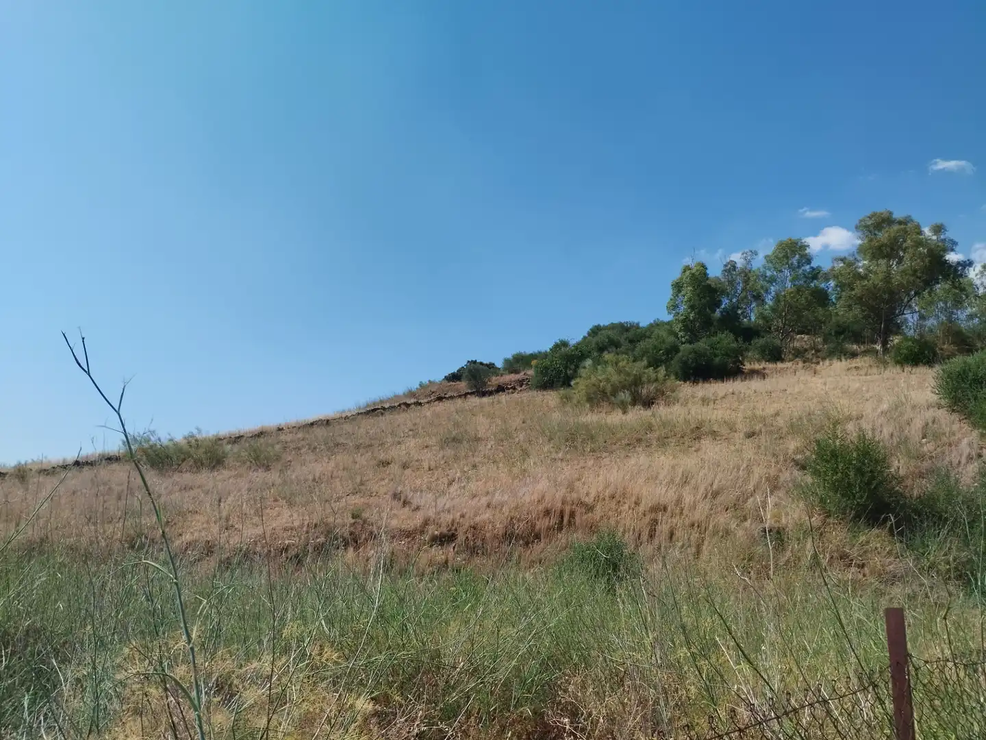 Terreni e lotti in vendita a Jerez de los Caballeros, imagen 5