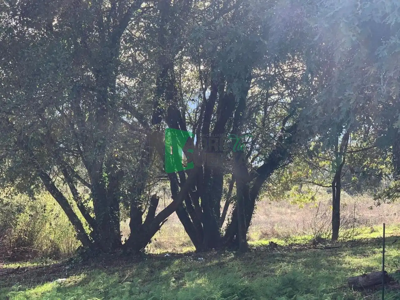 Terreni e lotti in vendita a Ventiun, imagen 11
