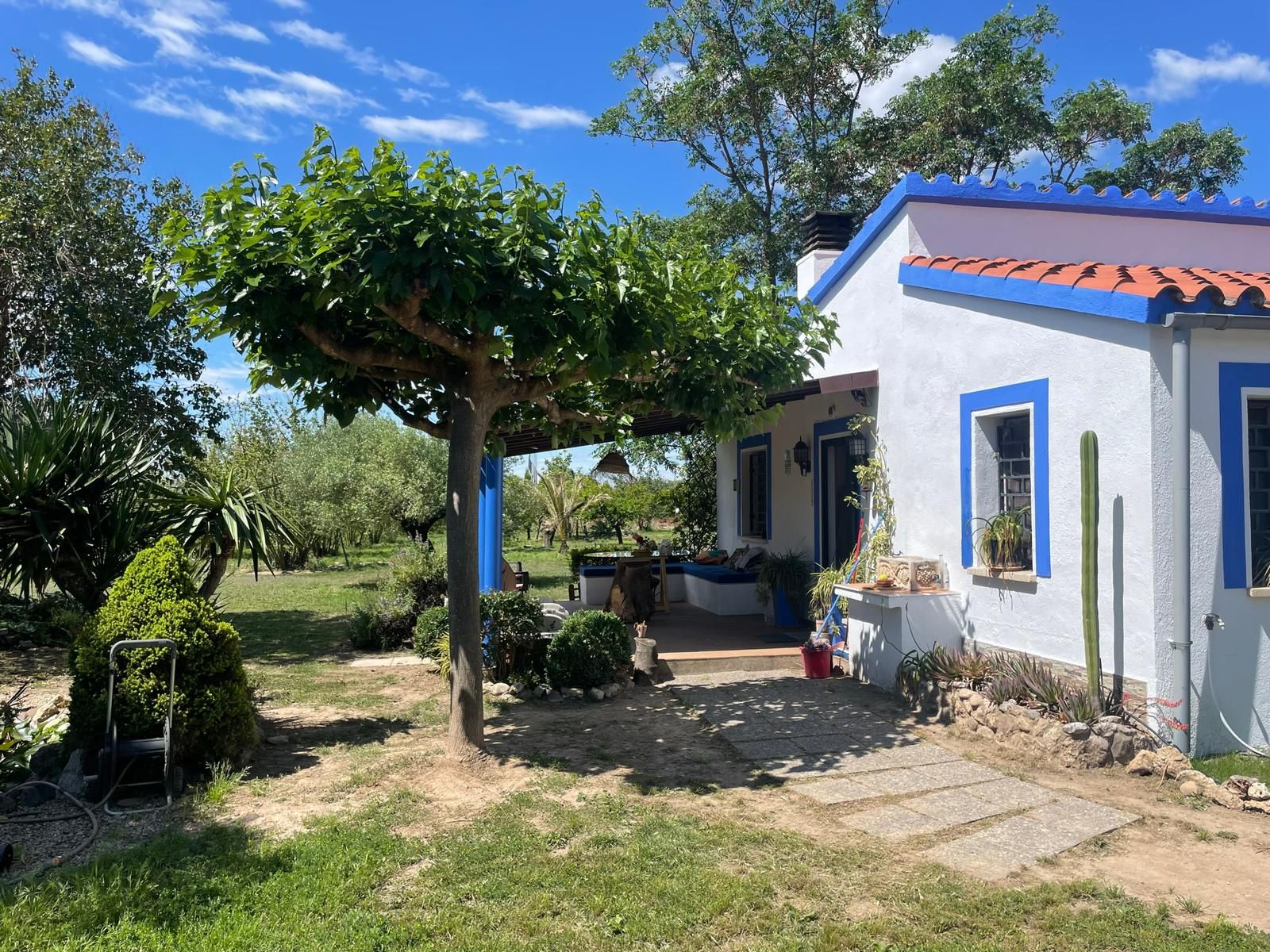 Garden of Country house for sale in Vallmoll  with Furnished