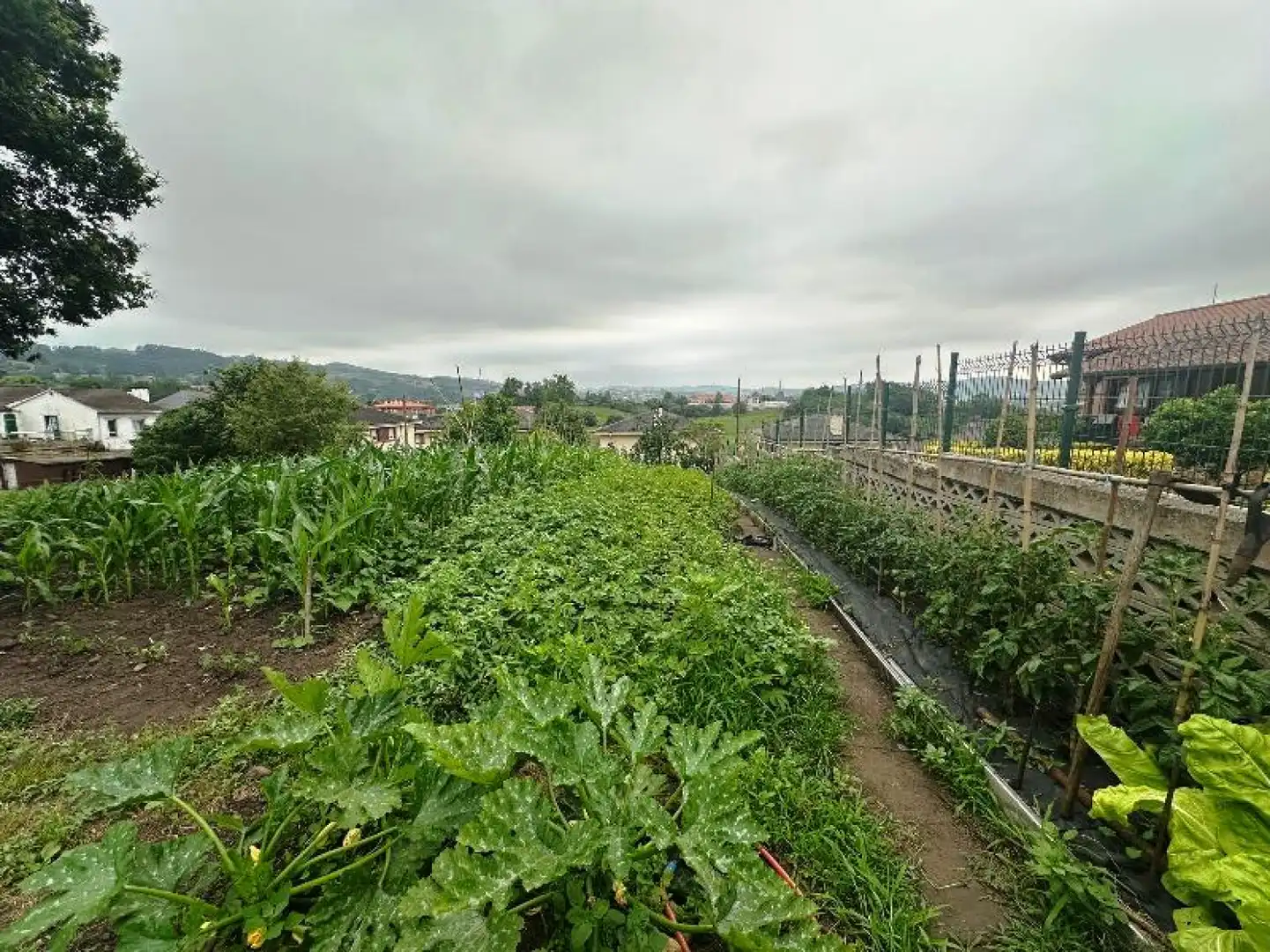 Garden of Land for sale in Reocín
