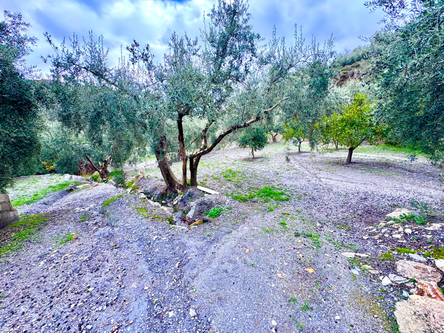 Terreni e lotti in vendita a Lugar Cortijo El Peñon, imagen 29