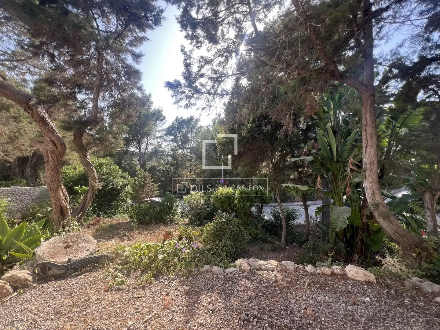 Jardí de Finca rústica en venda en Sant Joan de Labritja amb Balcó