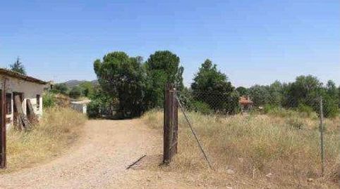 Foto 3 de Finca rústica en venda a La Raña, Piedrabuena, Ciudad Real