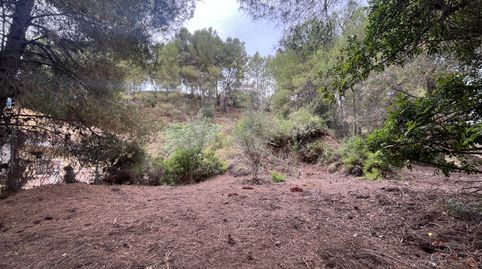 Photo 4 of Residential for sale in Urbanització Mont Blau, Torres Torres, Valencia