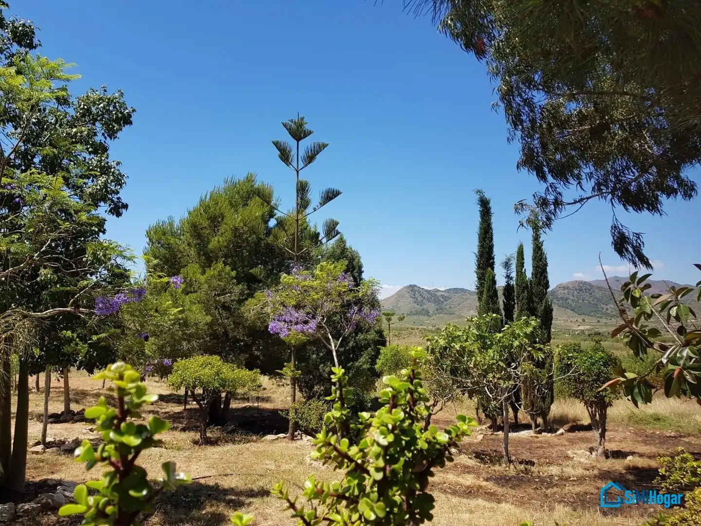 Casa con giardino in vendita a Camino MOJON-LAS PALAS, imagen 26