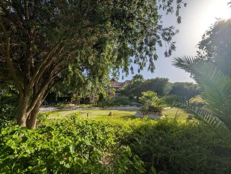 Garden of Detached homes for sale in La Alcaidesa  with Air Conditioner, Heating and Private garden