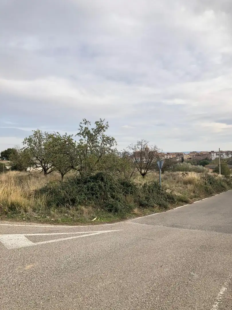 Rural land for sale in Tarazona, imagen 3