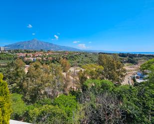 Vista exterior de Oficina de lloguer en Marbella amb Aire condicionat