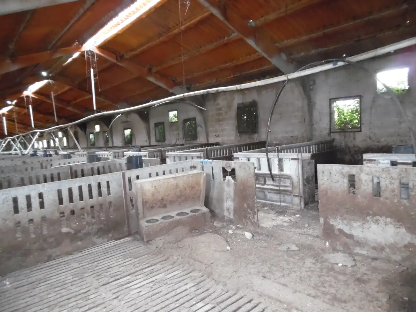 Nave industrial in vendita a PR EL SOLANO, imagen 12