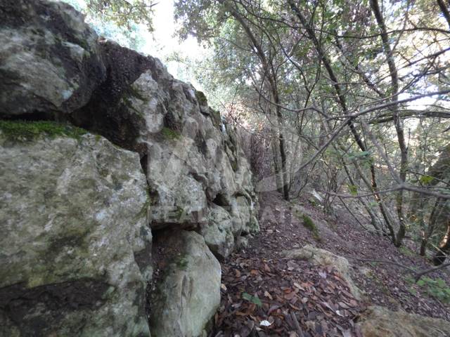 Terreno residencial en Venta en Escorca